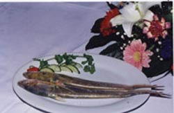 美食:慧眼天下名鱼档案