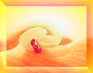 人类产生厌恶感的心理机制(图)