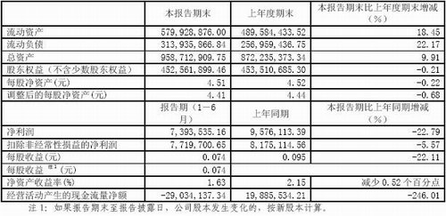 河南羚锐制药股份有限公司2006年中期报告（节录）
