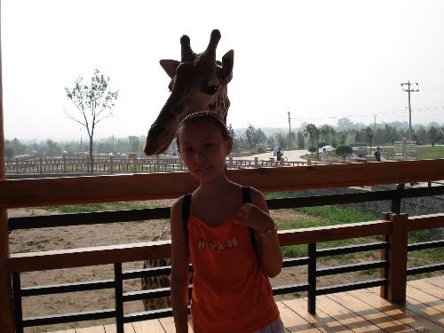 什么头型适合瓜子脸的人