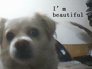 初三的睡觉是在浪费时间吗?