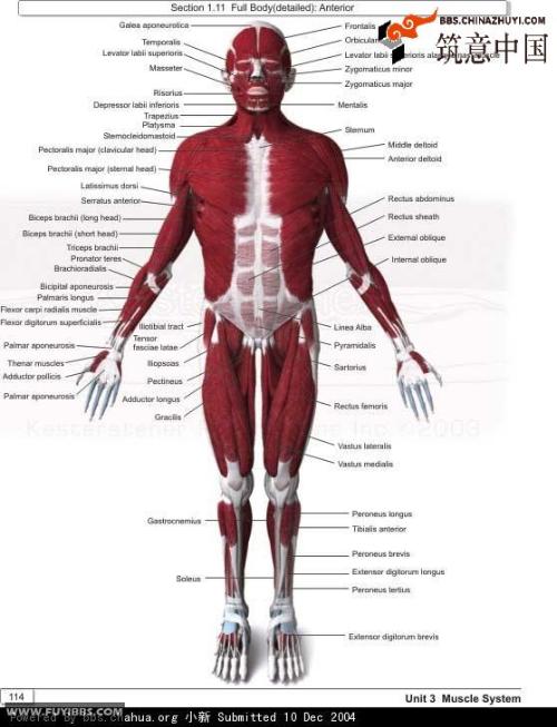 ��������ʲô������Ӳ?