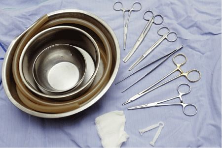 ������Ժ�����ƻ���(ͼ)